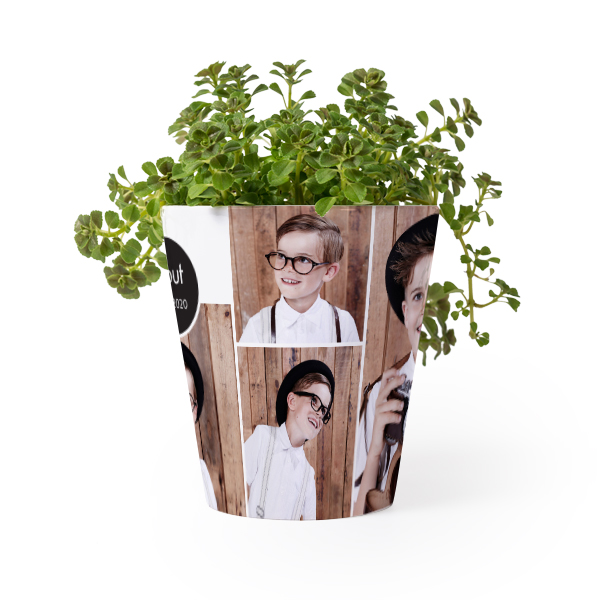 Blomkruka