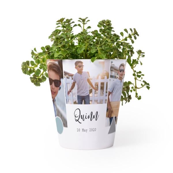Pot de fleurs