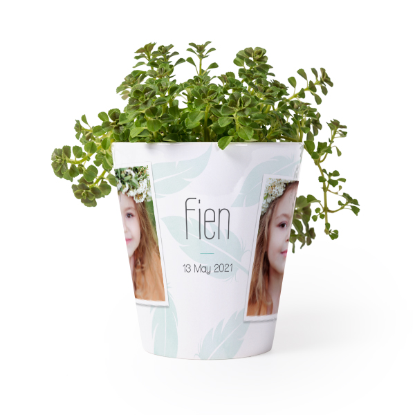 Blumentopf Blumentopf