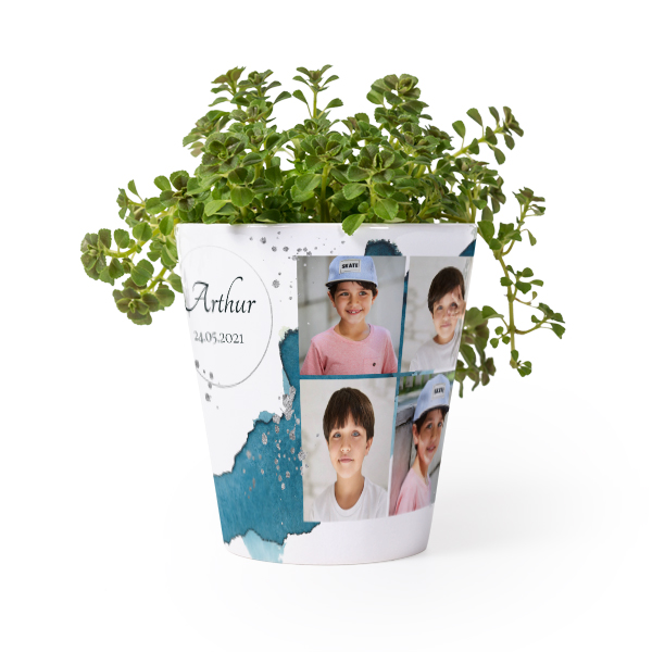 Pot de fleurs