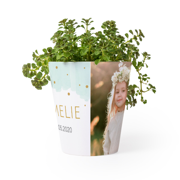Flower Pot Flower Pot