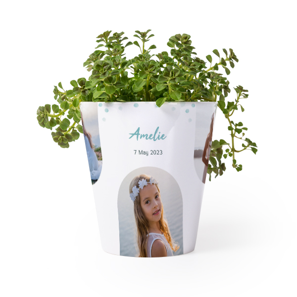 Pot de fleurs