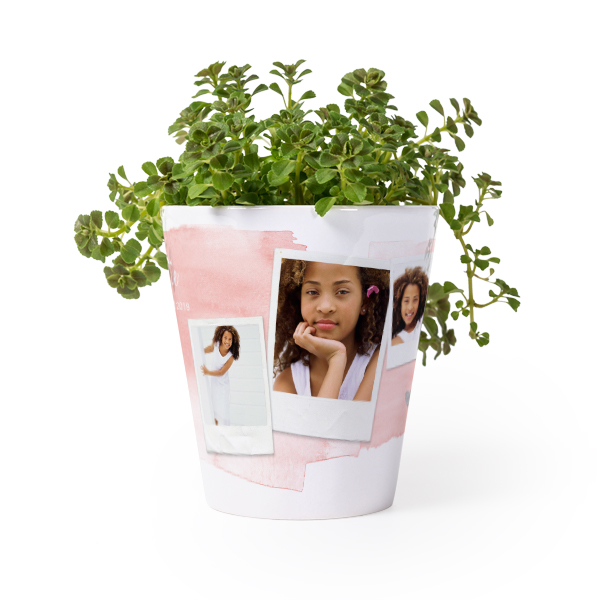 Pot de fleurs