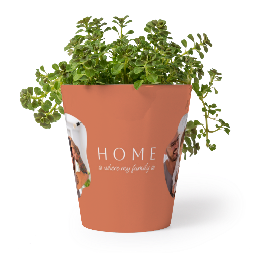 Organic Shape Warm Minimalism Organic Shape Warm Minimalism