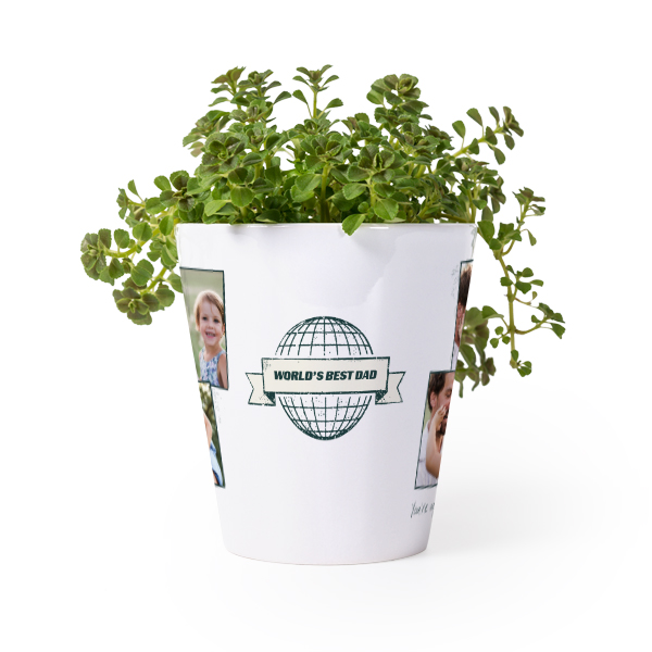 Blomsterkrukke Blomsterkrukke