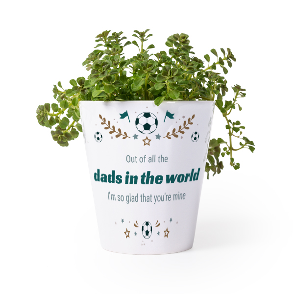 Flower Pot