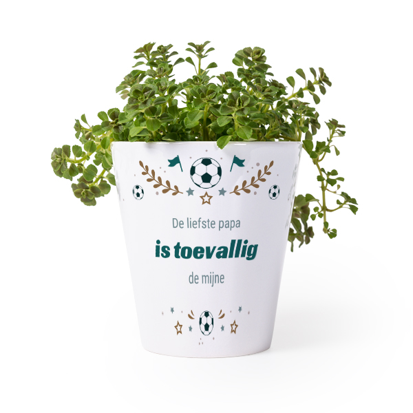 Bloempot