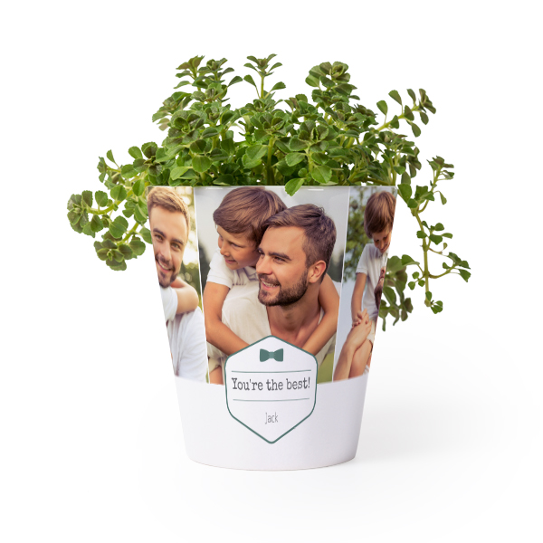 Flower Pot