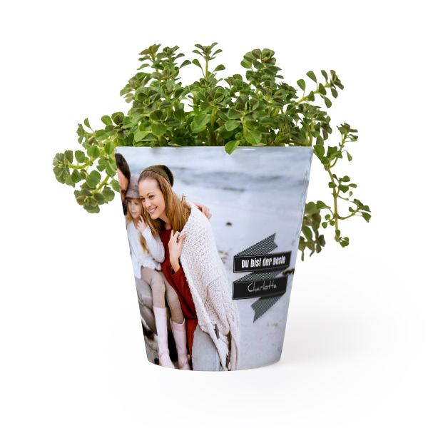 Flower Pot
