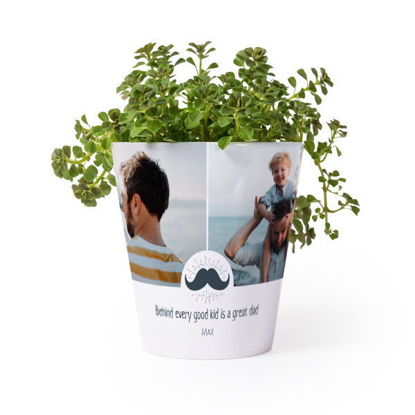 Flower Pot Flower Pot
