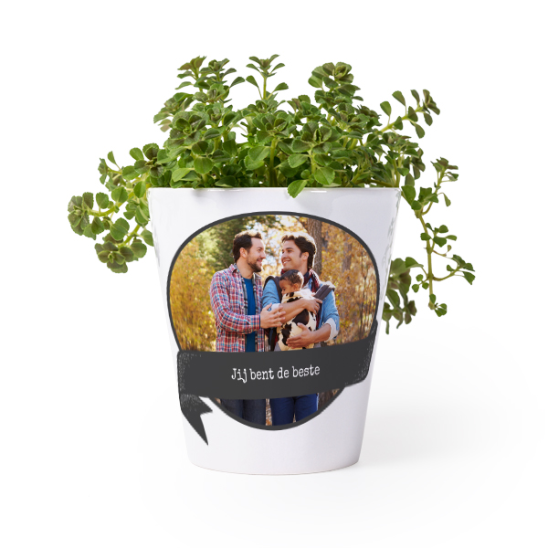 Bloempot Bloempot