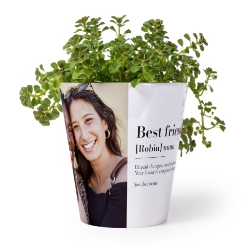 FlowerPot_DictionaryDefinition