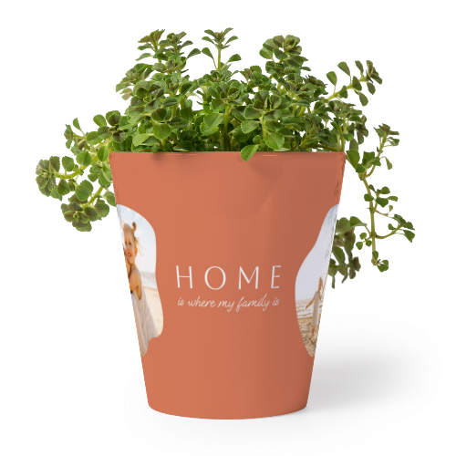 Organic Shape Warm Minimalism Organic Shape Warm Minimalism