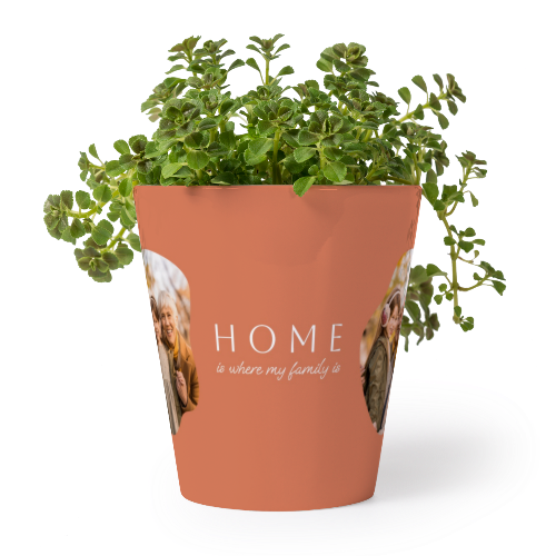Organic Shape Warm Minimalism Organic Shape Warm Minimalism