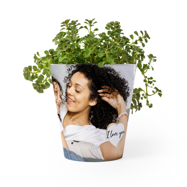 Blomsterkrukke Blomsterkrukke