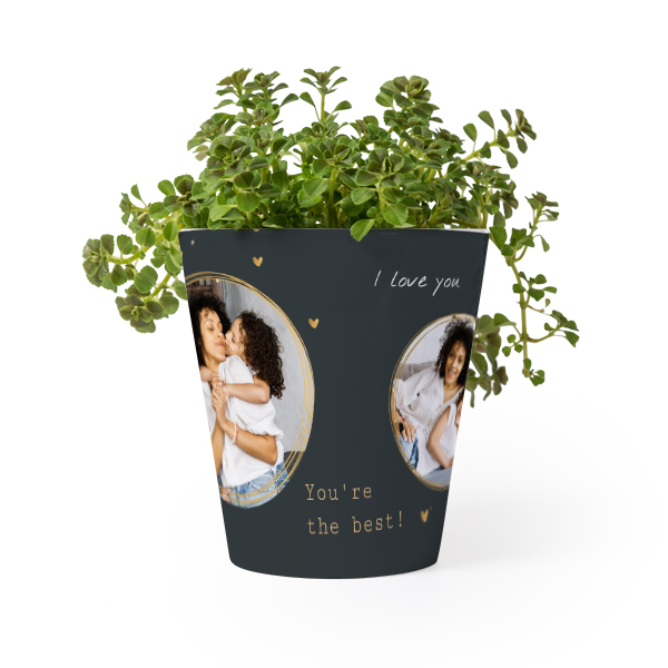 Flower Pot Flower Pot