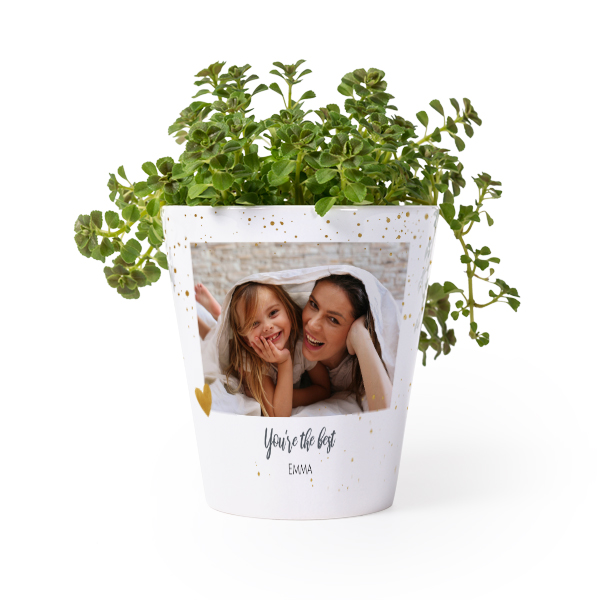 Flower Pot Flower Pot