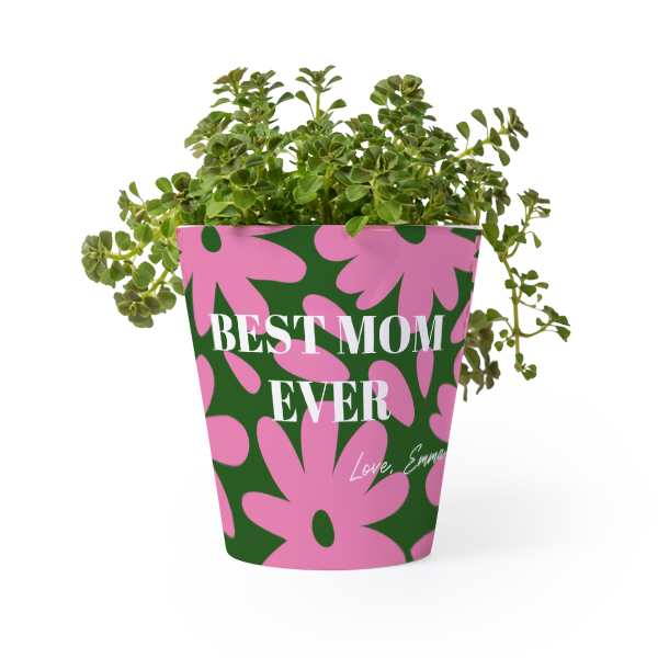 Flower Pot Flower Pot