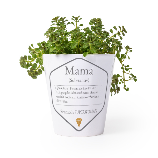 Flower Pot