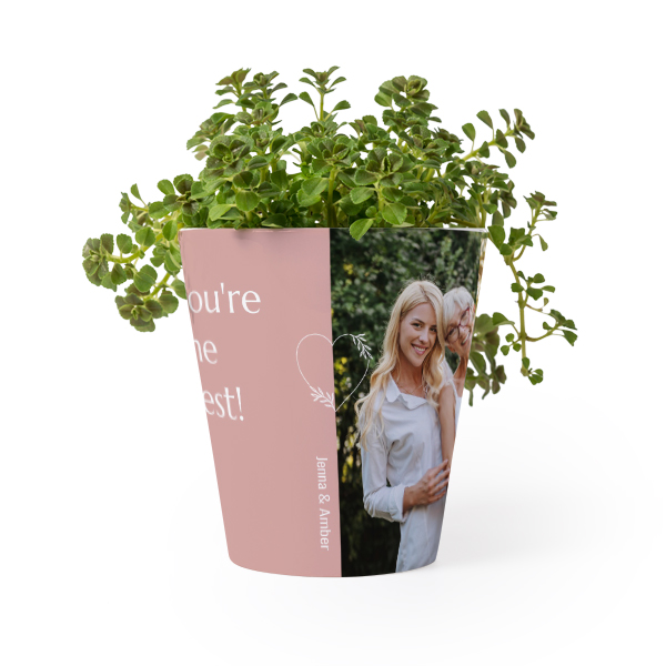 Flower Pot