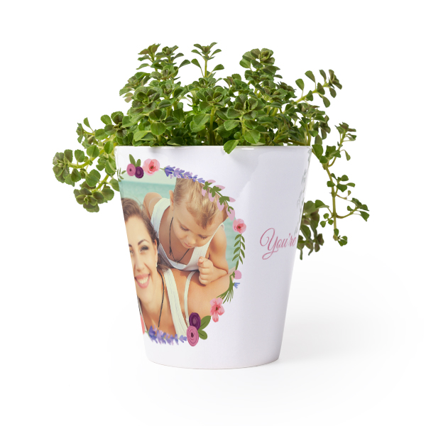 Bloempot Bloempot