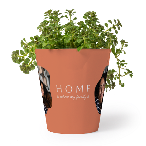 Organic Shape Warm Minimalism Organic Shape Warm Minimalism