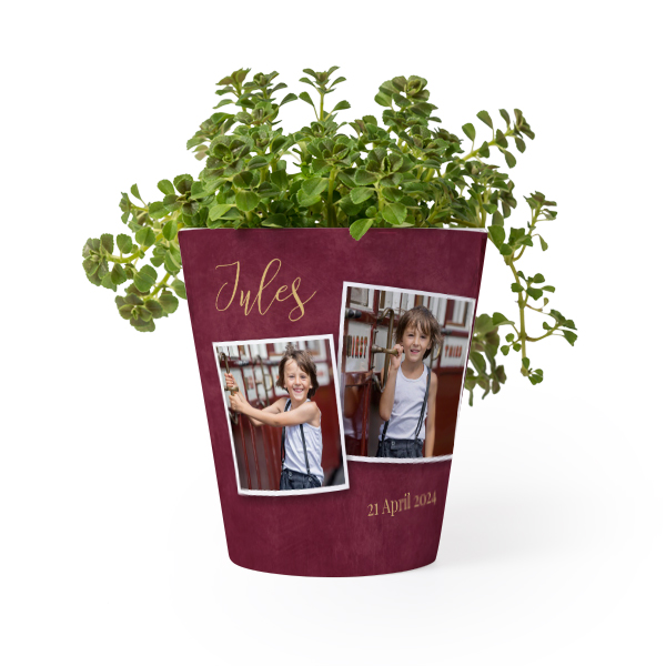 Bloempot Bloempot