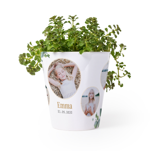 Pot de fleurs