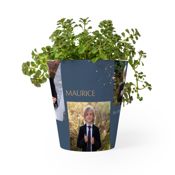 Kukkaruukku Kukkaruukku