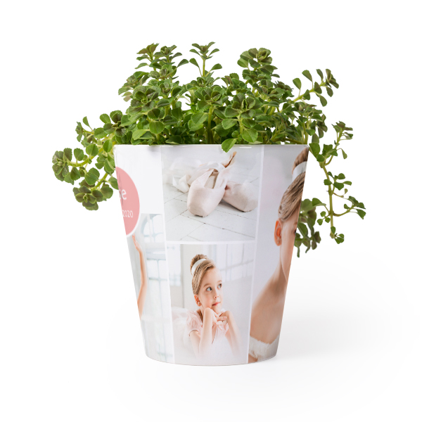 Bloempot Bloempot