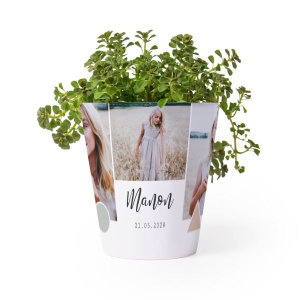 Pot de fleurs