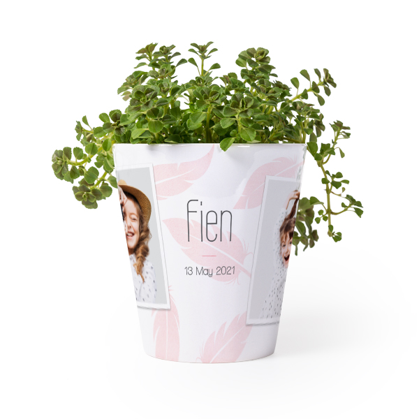 Pot de fleurs