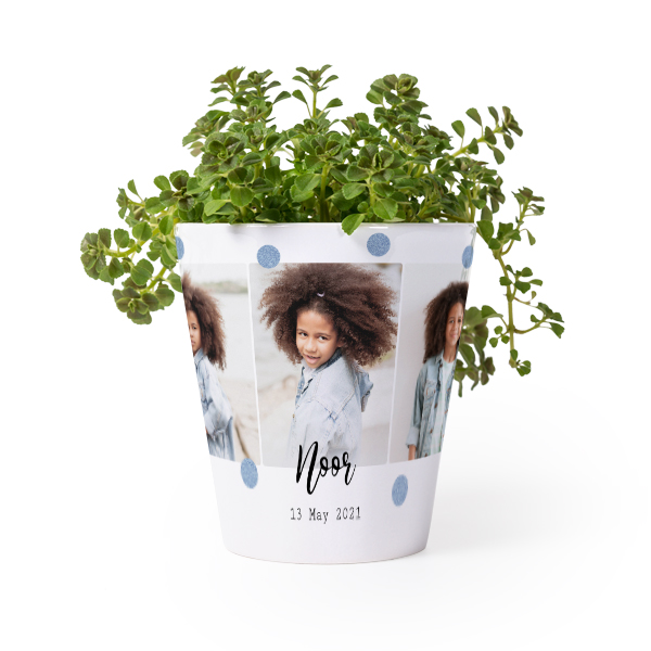 Pot de fleurs