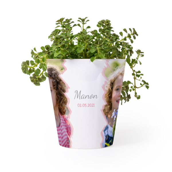 Pot de fleurs