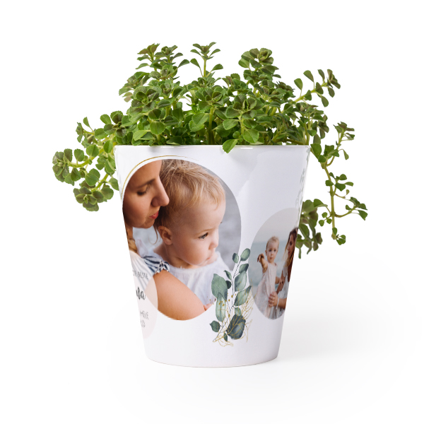 Bloempot