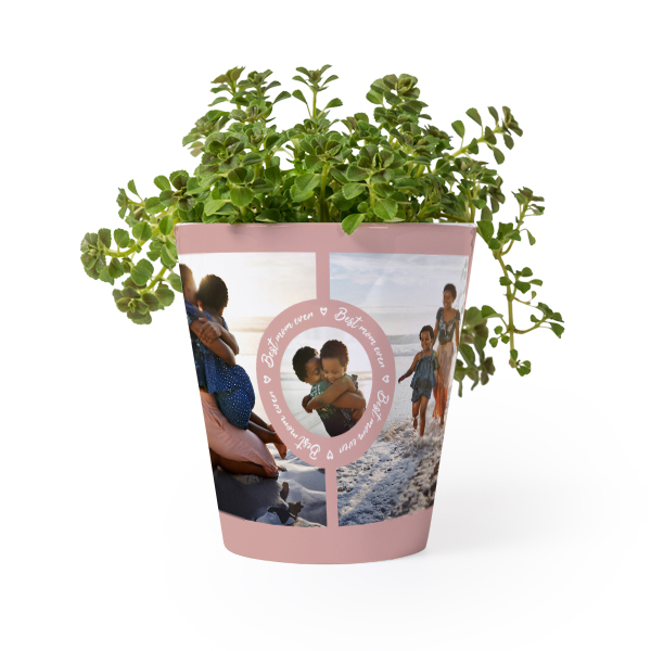 Flower Pot