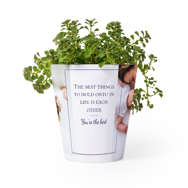 Flower Pot Flower Pot
