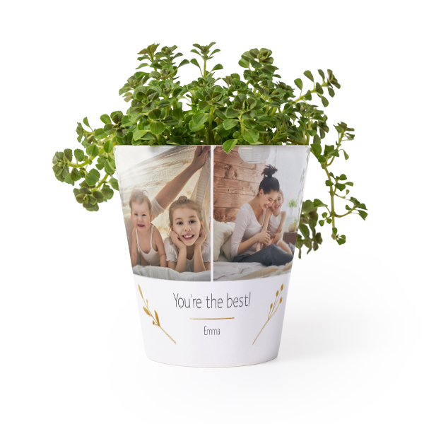 Bloempot Bloempot