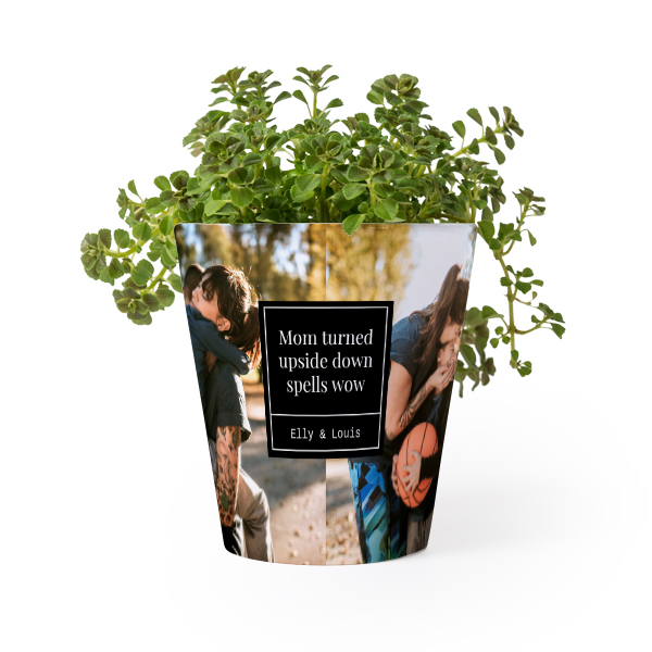 Bloempot