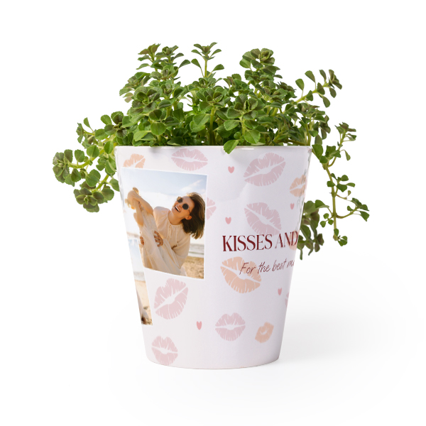 Blumentopf Blumentopf