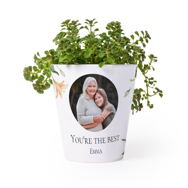 Flower Pot