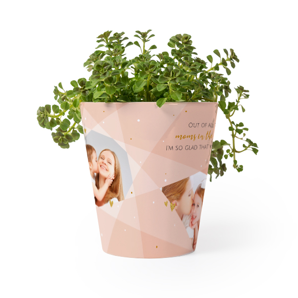 Blomsterkrukke