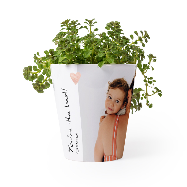 Flower Pot