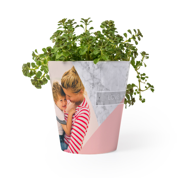 Bloempot