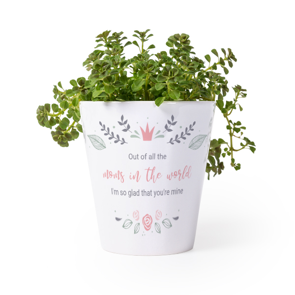 Flower Pot