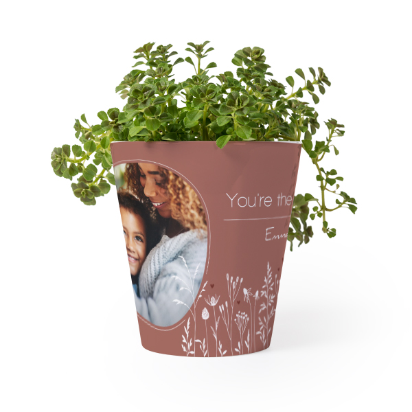 Pot de fleurs