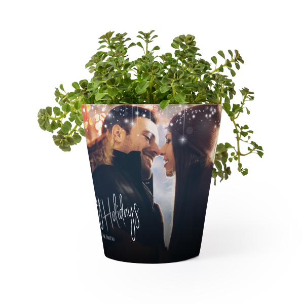 Pot de fleurs