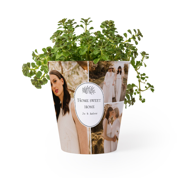 Pot de fleurs