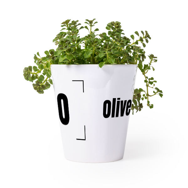 Flower Pot