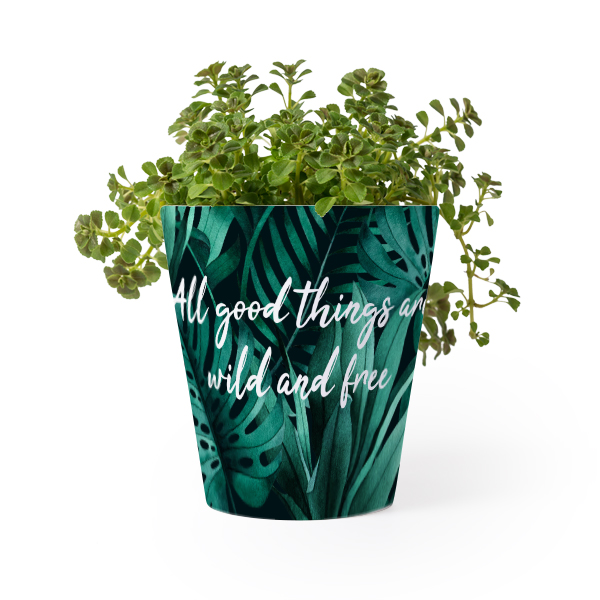 Flower Pot